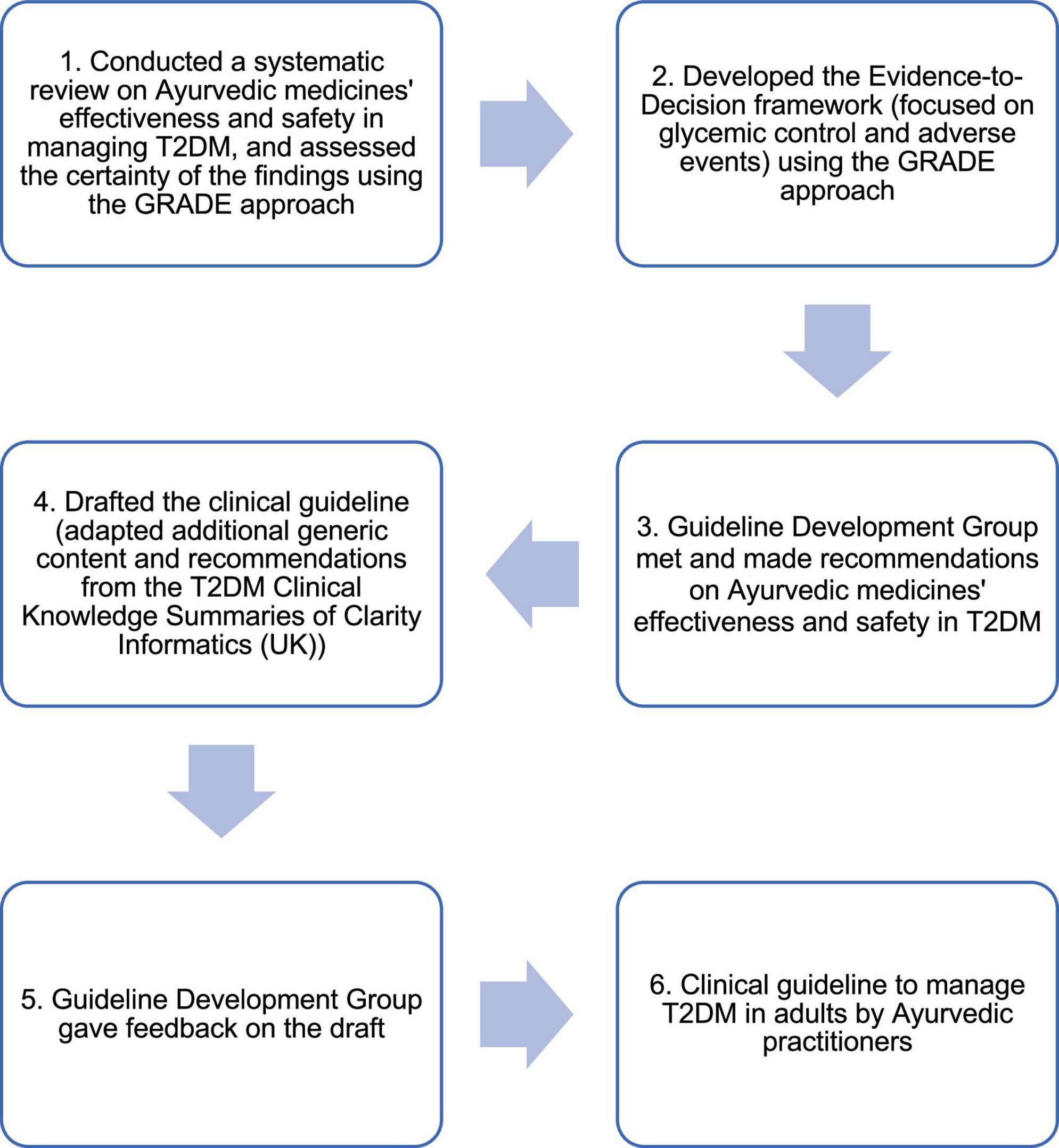 Development process of a clinical guideline to manage type 2 diabetes in adults by Ayurvedic practitioners